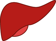  liver cirrhosis