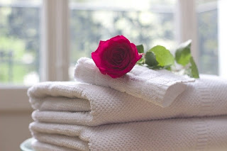 red rose on white towel