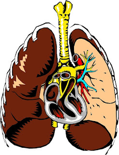 brown lungs and heart in chronic obstructive pulmonary disease